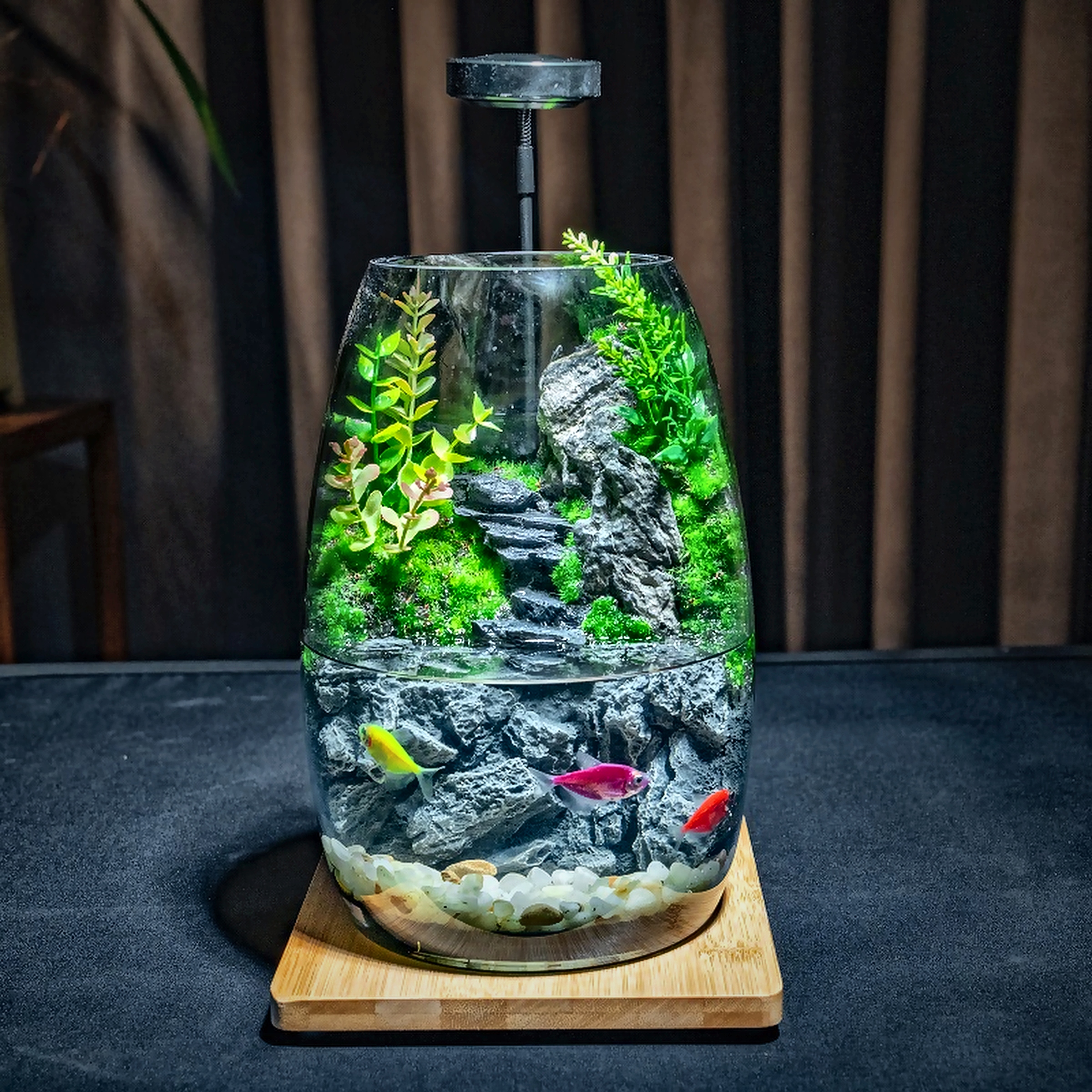 步步高升 · 翠绿梯田微景缸