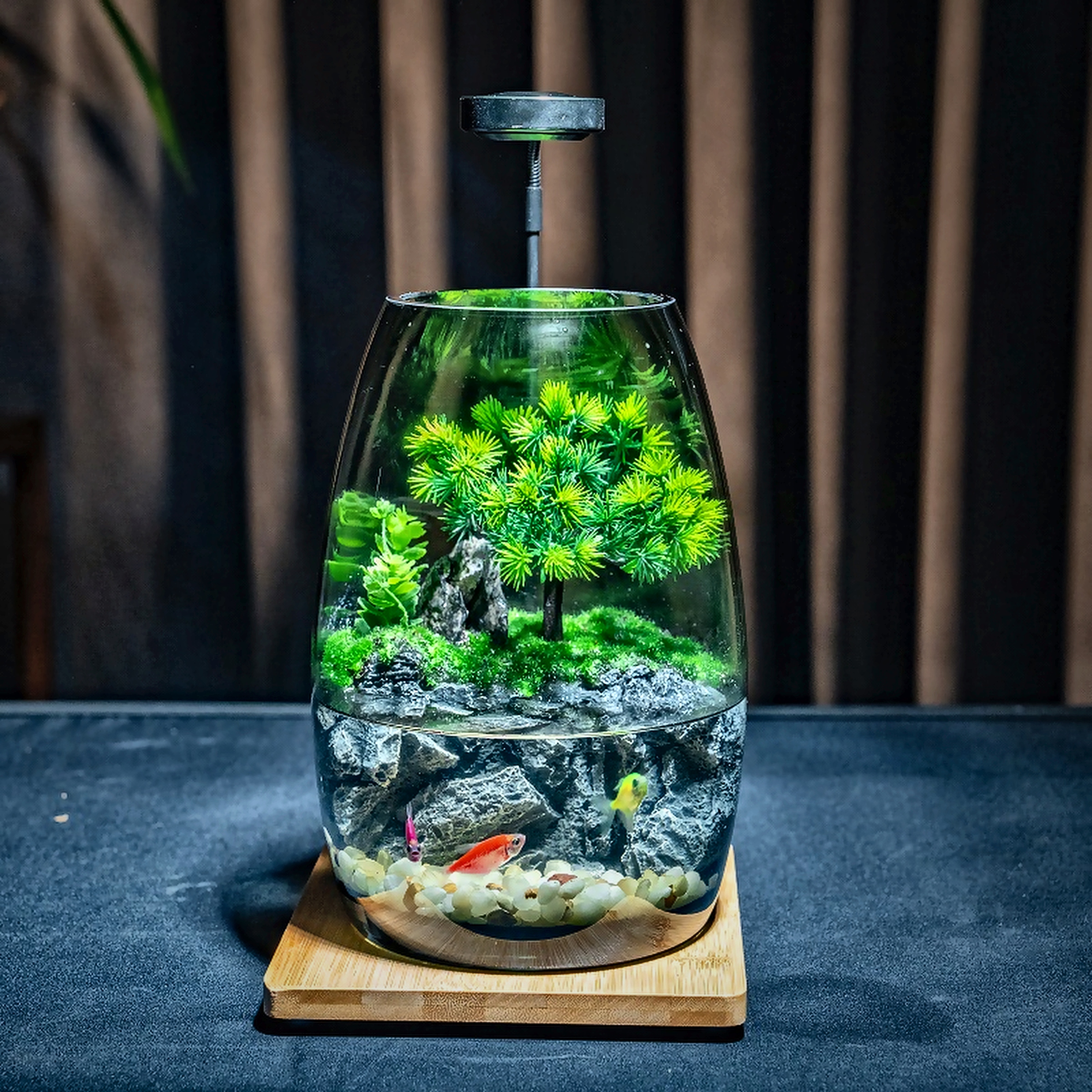 独钓寒江 · 松石意境微景缸